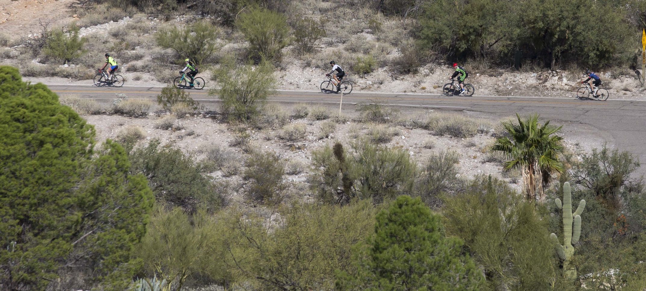 El Tour de Tucson